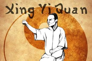 xin-yi-quan